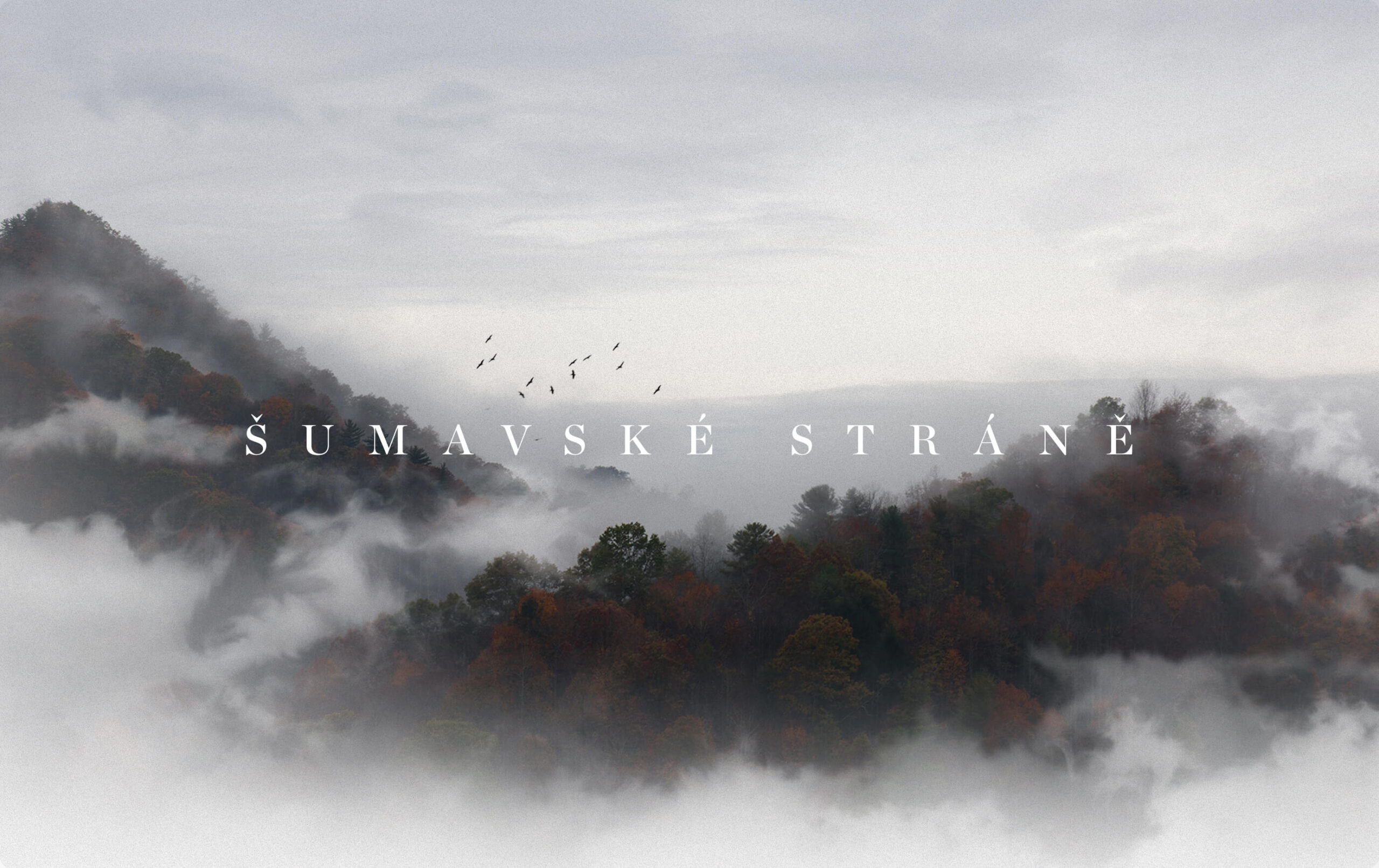 Sumavske Strane - Brand & Digital Communication